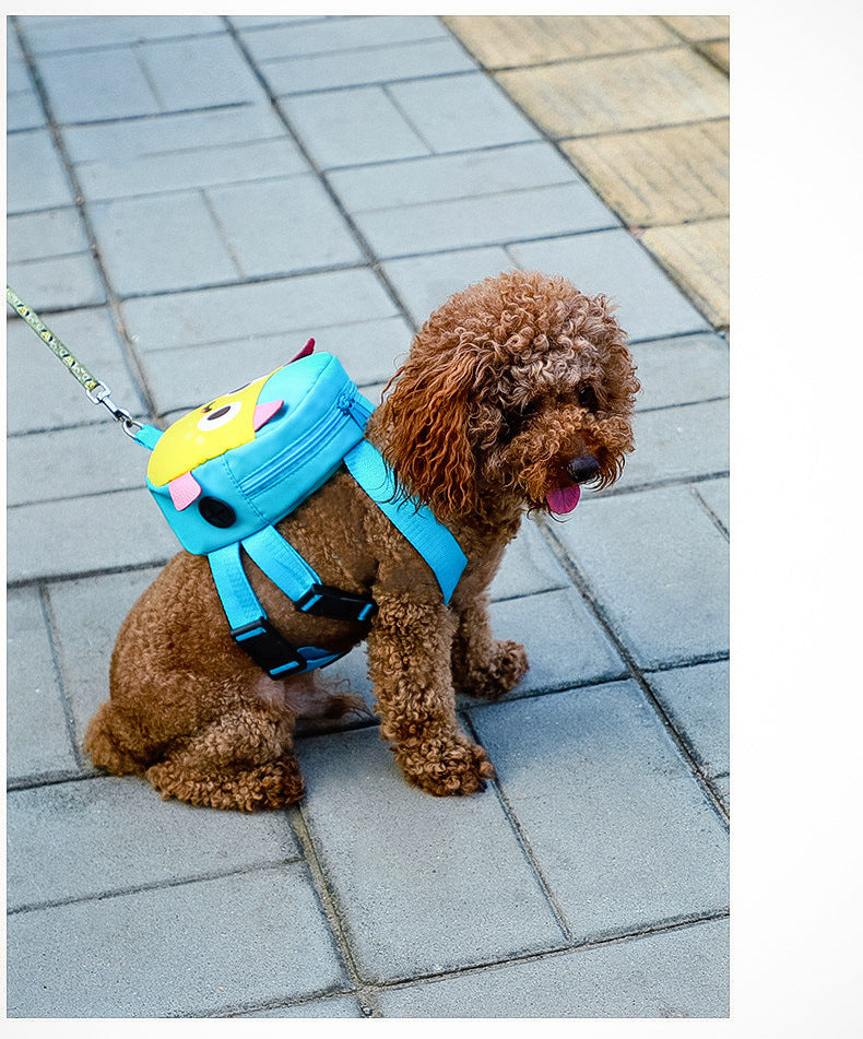 Fashion Four Seasons Backpack for Pets