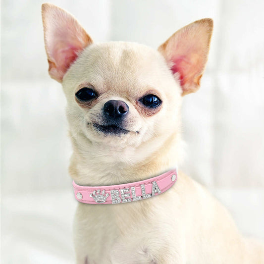 Customized Cat, Puppy and Small Dog Breed Collar Rhinestone.