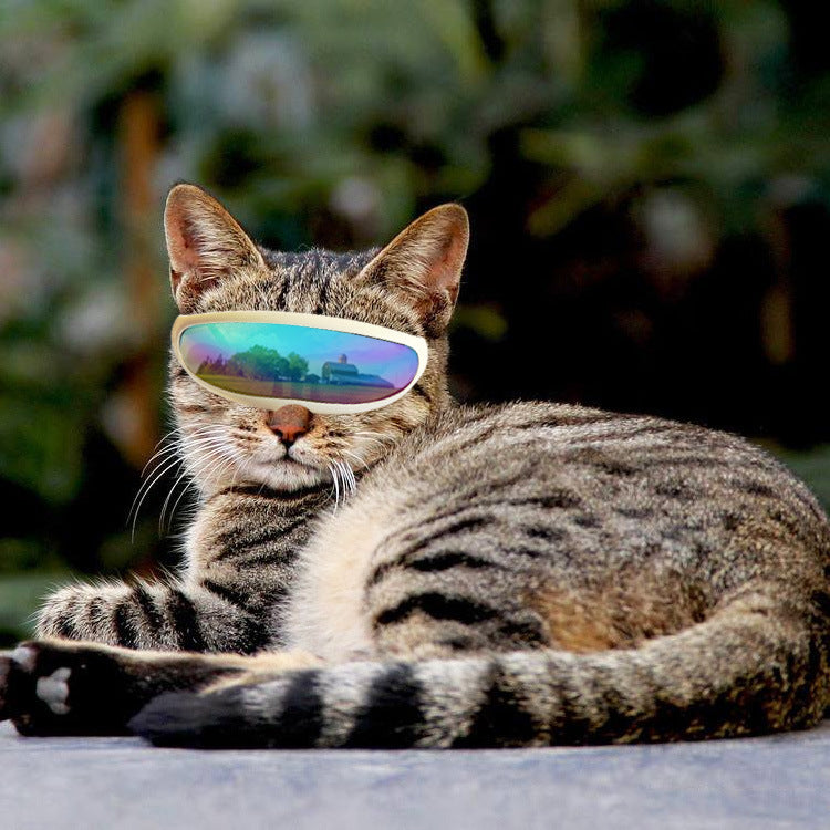UV-Protect Pet Goggles – Shielding Eyes from Sun, Wind & Debris