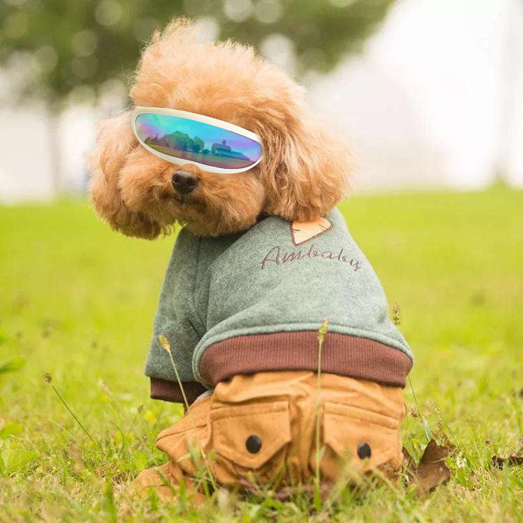 UV-Protect Pet Goggles – Shielding Eyes from Sun, Wind & Debris