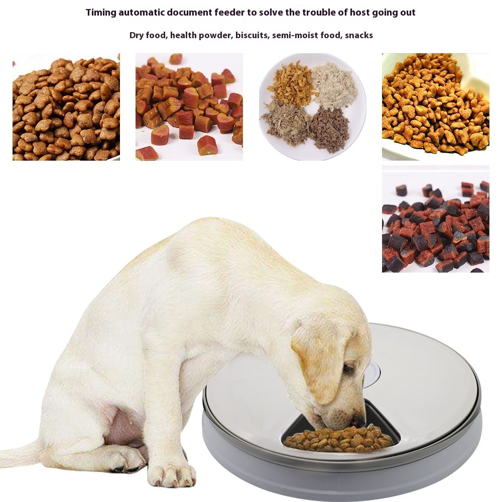 Smart Auto Pet Feeder – Scheduled Feeding Made Easy for Puppies & Kittens