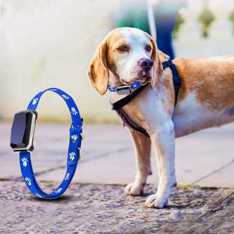 Real-Time GPS Tracker for Dogs & Cats – Secure & Comfortable Collar