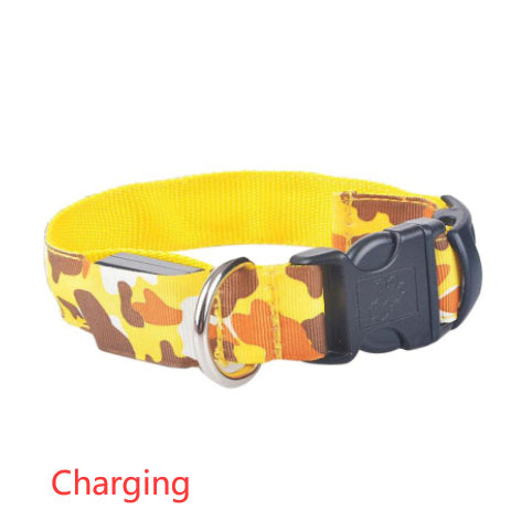 GlowGuard Camo Dog Collar – Light Up Your Pet’s Night Adventures!