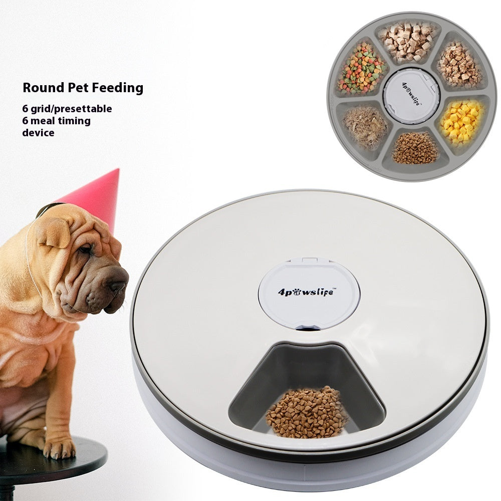 Smart Auto Pet Feeder – Scheduled Feeding Made Easy for Puppies & Kittens