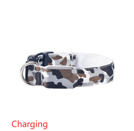 GlowGuard Camo Dog Collar – Light Up Your Pet’s Night Adventures!